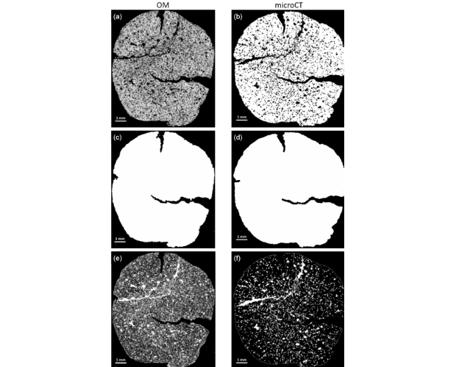 Porosity Characterization of Iron Ore Pellets by X-Ray Microtomography